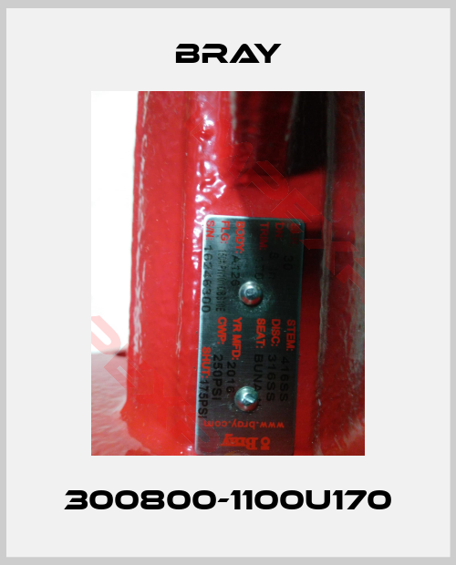 Bray-300800-1100U170