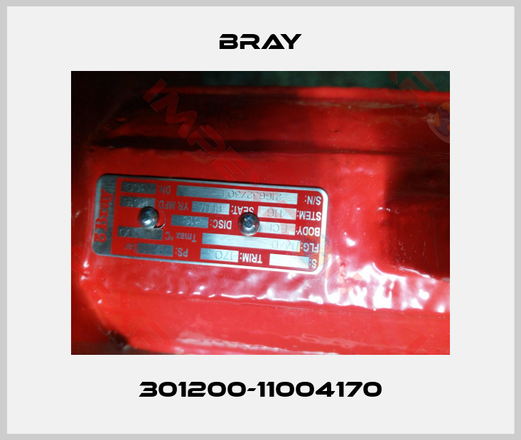 Bray-301200-11004170