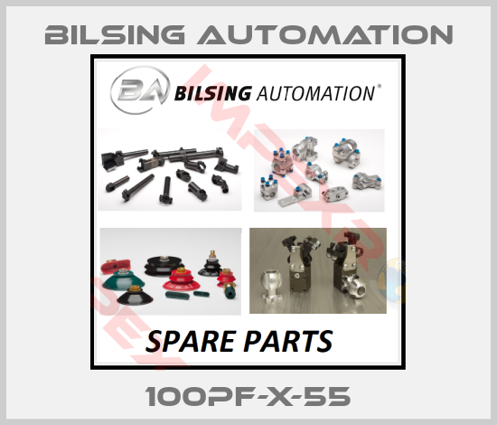 Bilsing Automation-100PF-X-55
