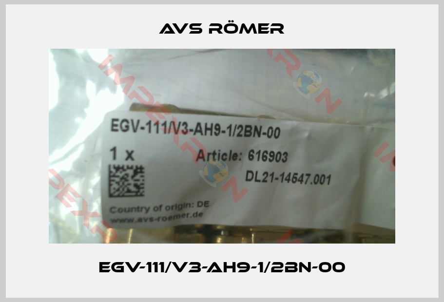 Avs Römer-EGV-111/V3-AH9-1/2BN-00