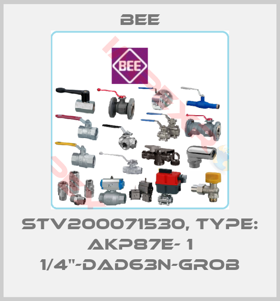 BEE-STV200071530, Type: AKP87E- 1 1/4"-DAD63N-GROB