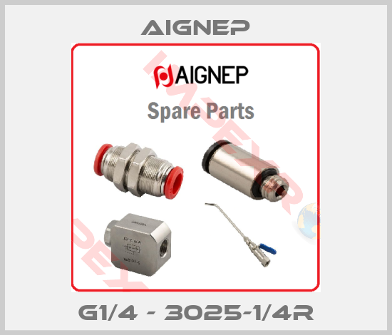 Aignep-G1/4 - 3025-1/4R