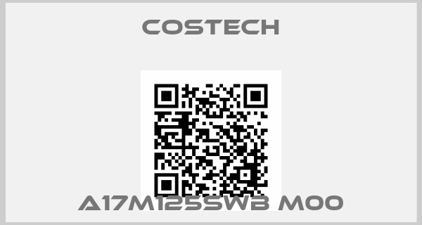 Costech-A17M125SWB M00