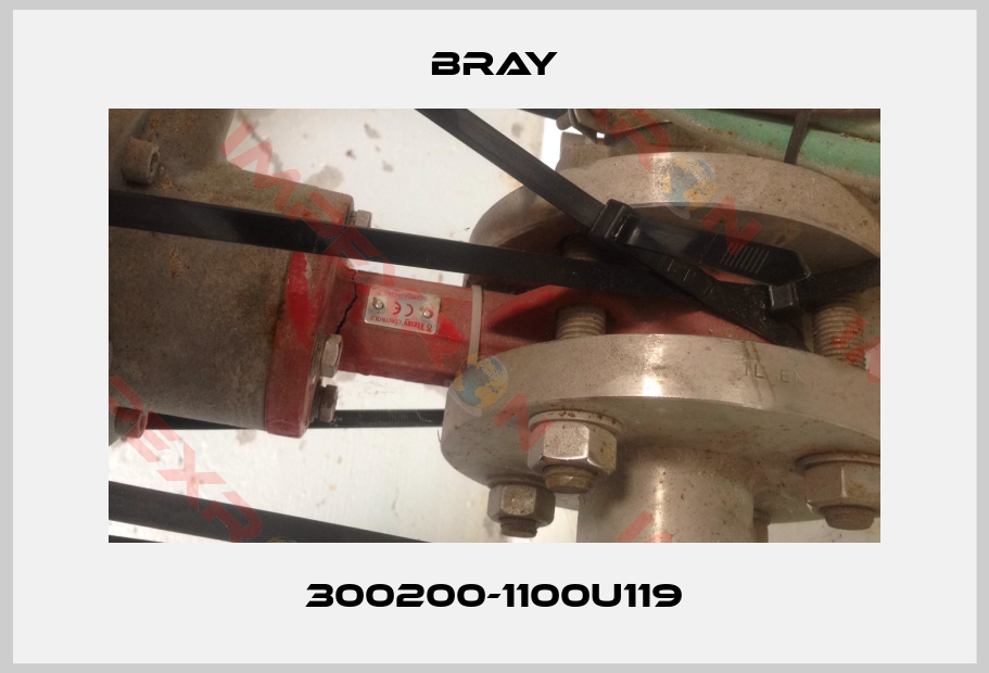 Bray-300200-1100U119