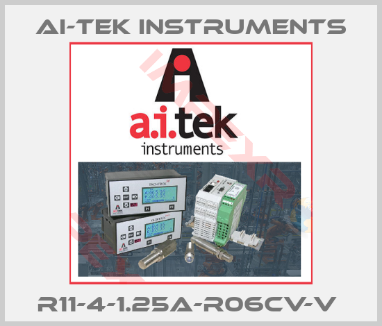 AI-Tek Instruments-R11-4-1.25A-R06CV-V 
