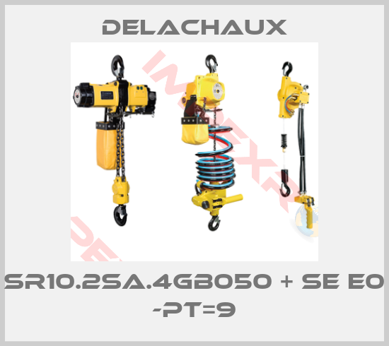 Delachaux-SR10.2SA.4GB050 + SE E0 -PT=9
