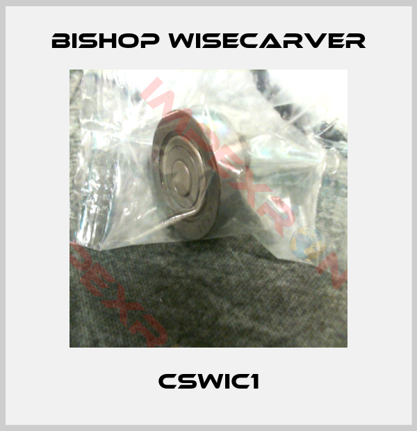 Bishop Wisecarver-CSWIC1