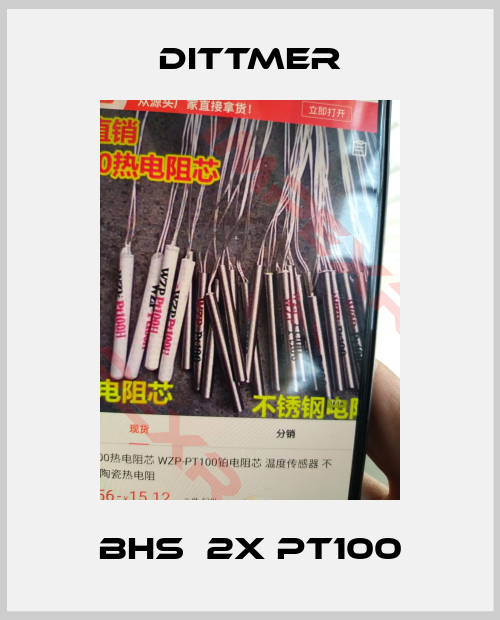 Dittmer-BHS  2X PT100