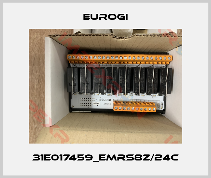 Eurogi-31E017459_EMRS8Z/24C