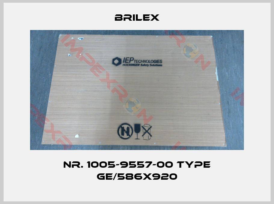 Brilex-Nr. 1005-9557-00 Type GE/586X920