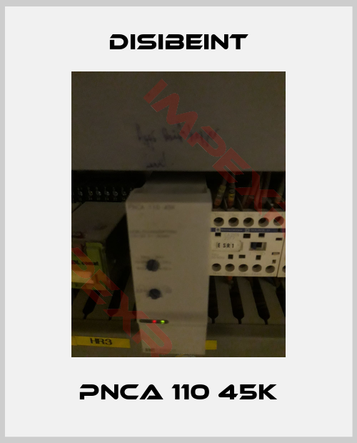 Disibeint-PNCA 110 45K