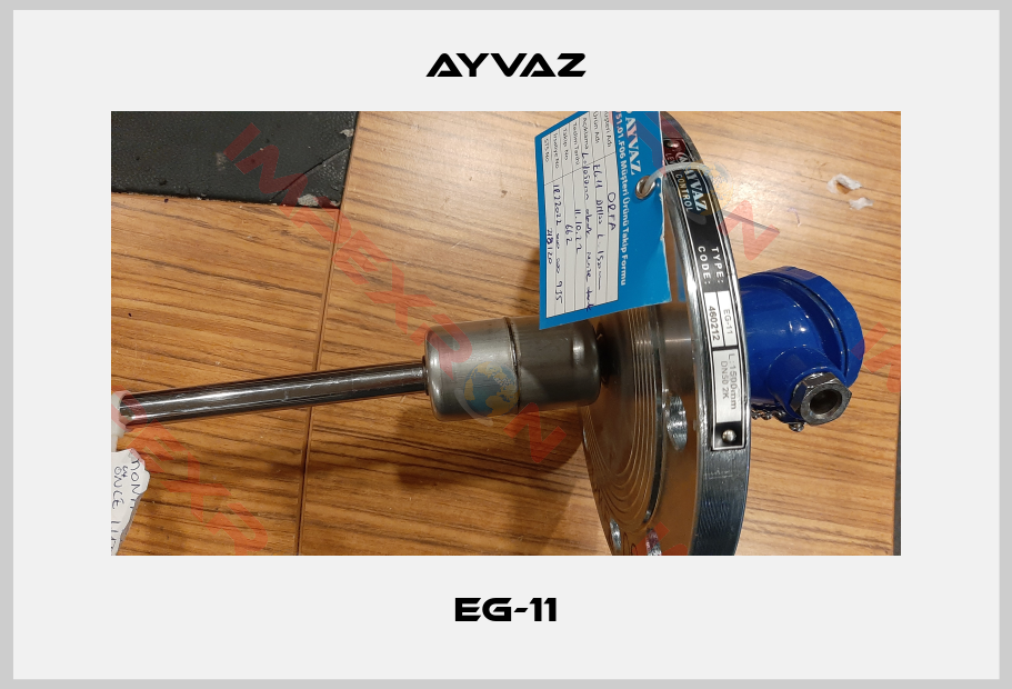 Ayvaz-EG-11