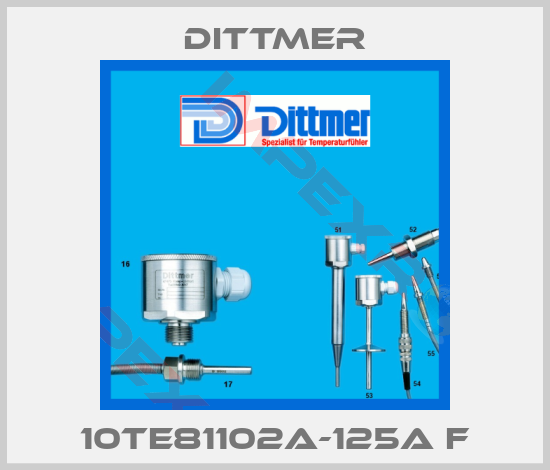 Dittmer-10TE81102A-125A F