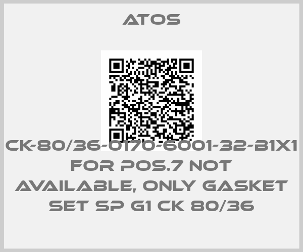 Atos-CK-80/36-0170-6001-32-B1X1 for Pos.7 not available, only gasket set SP G1 CK 80/36