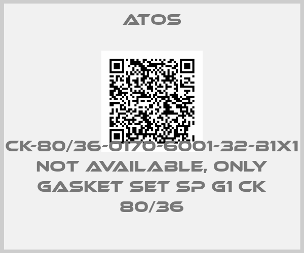 Atos-CK-80/36-0170-6001-32-B1X1 not available, only gasket set SP G1 CK 80/36