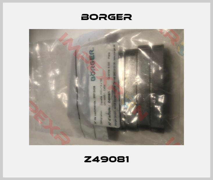 Börger-Z49081