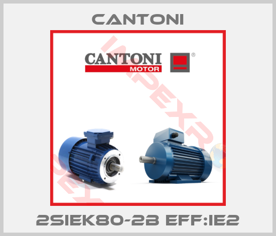 Cantoni-2SIEK80-2B eff:IE2