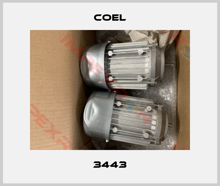 Coel-3443