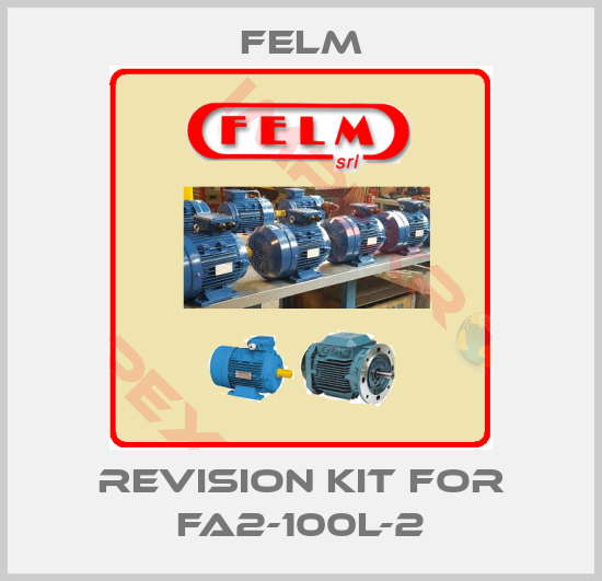 Felm-Revision kit for FA2-100L-2