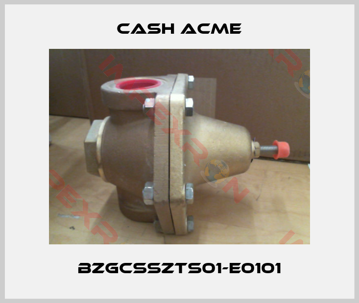 Cash Acme-BZGCSSZTS01-E0101