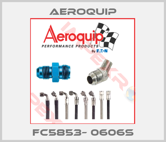 Aeroquip-FC5853– 0606S