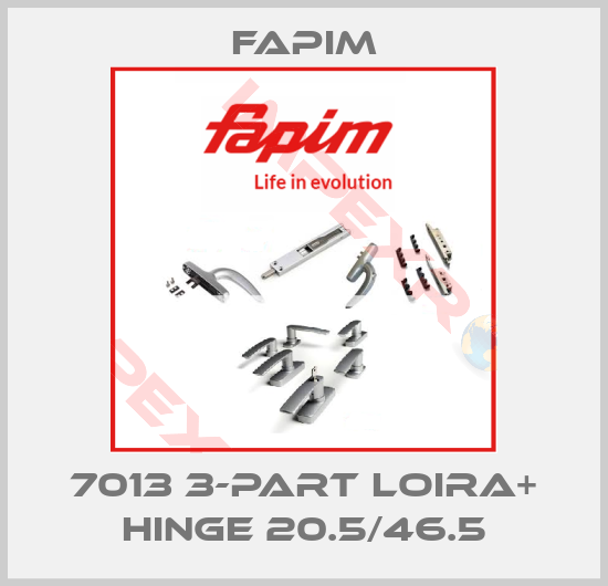 Fapim-7013 3-PART LOIRA+ HINGE 20.5/46.5
