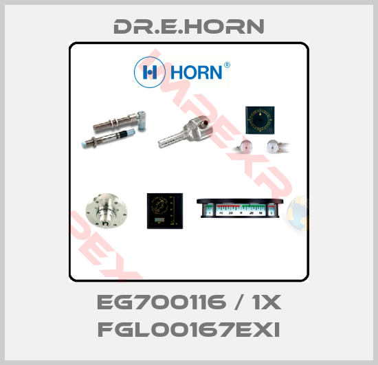 Dr.E.Horn-EG700116 / 1x FGL00167Exi