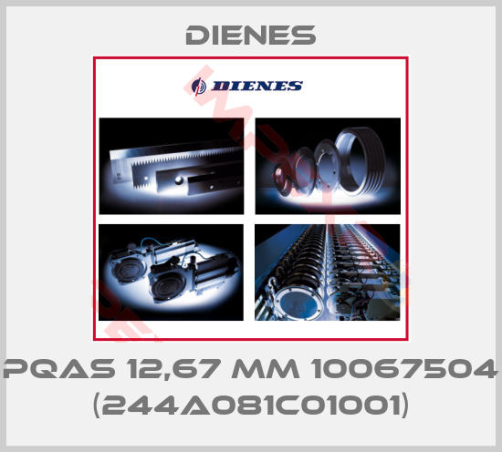 Dienes-PQAS 12,67 mm 10067504 (244A081C01001)