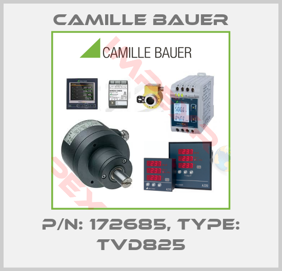Camille Bauer-P/N: 172685, Type: TVD825