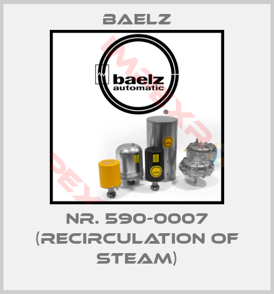 Baelz-Nr. 590-0007 (Recirculation of steam)