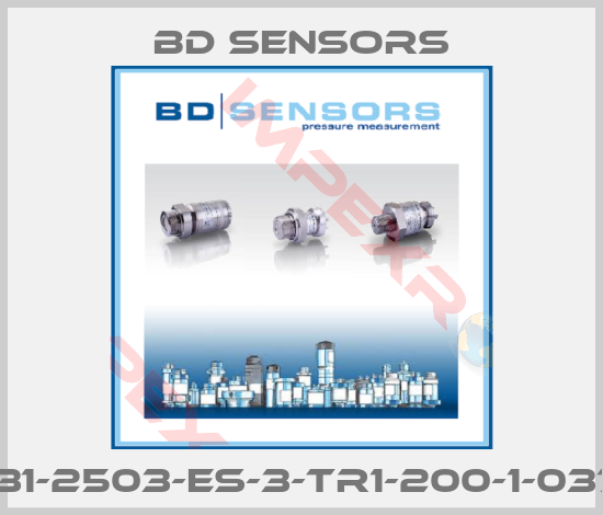 Bd Sensors-131-2503-ES-3-TR1-200-1-037
