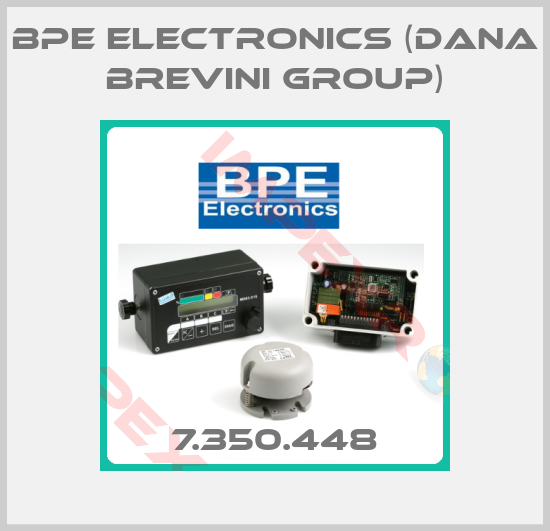 BPE Electronics (Dana Brevini Group)-7.350.448