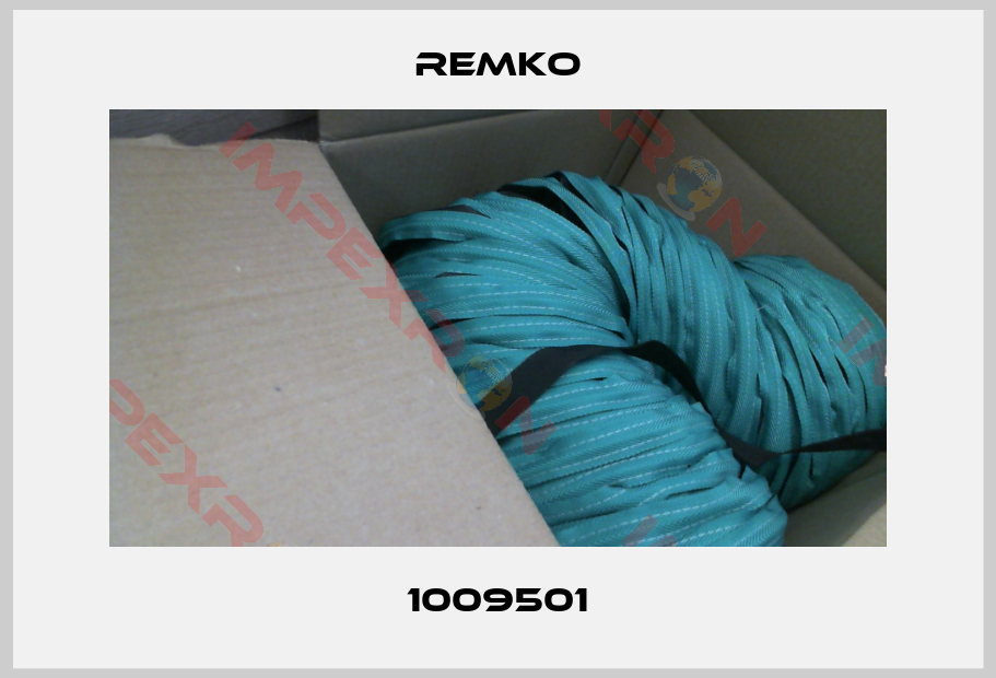 Remko-1009501