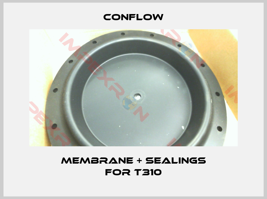 CONFLOW-membrane + sealings for T310