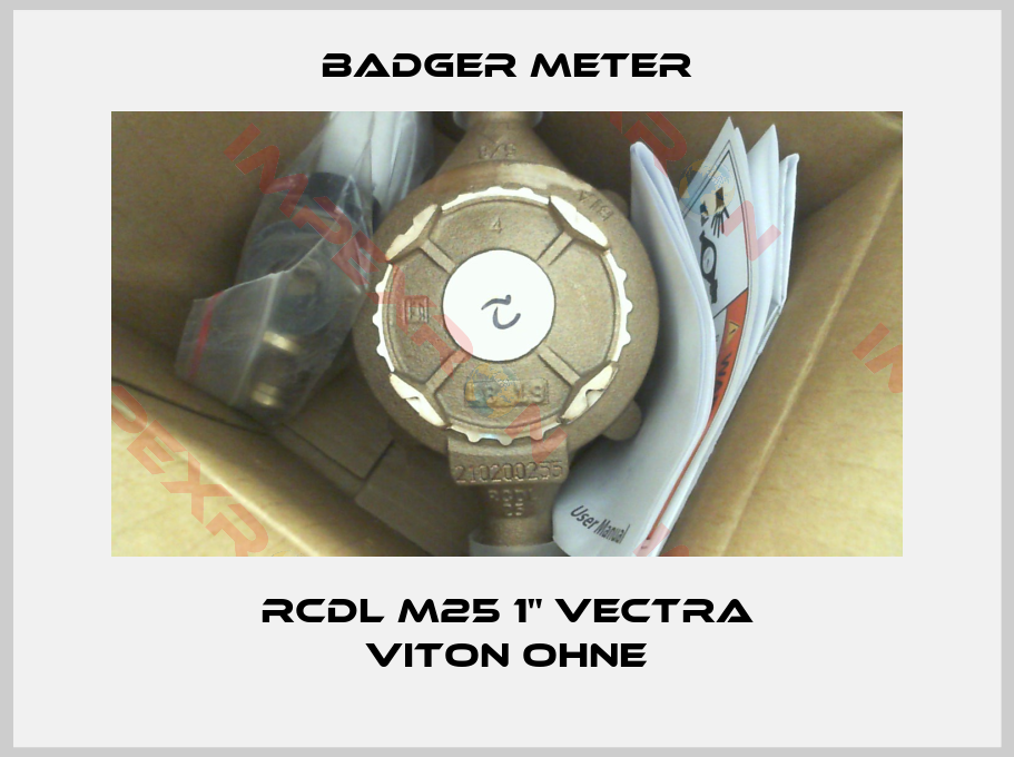 Badger Meter-RCDL M25 1" VECTRA VITON OHNE