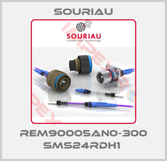Souriau-REM90005AN0-300 SMS24RDH1 