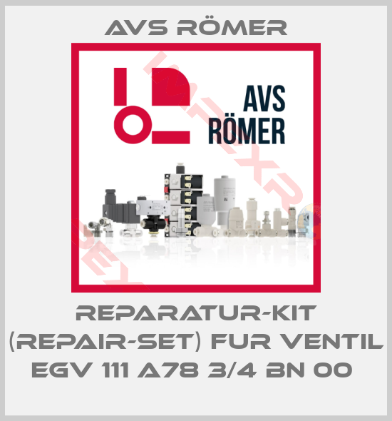 Avs Römer-REPARATUR-KIT (REPAIR-SET) FUR VENTIL EGV 111 A78 3/4 BN 00 