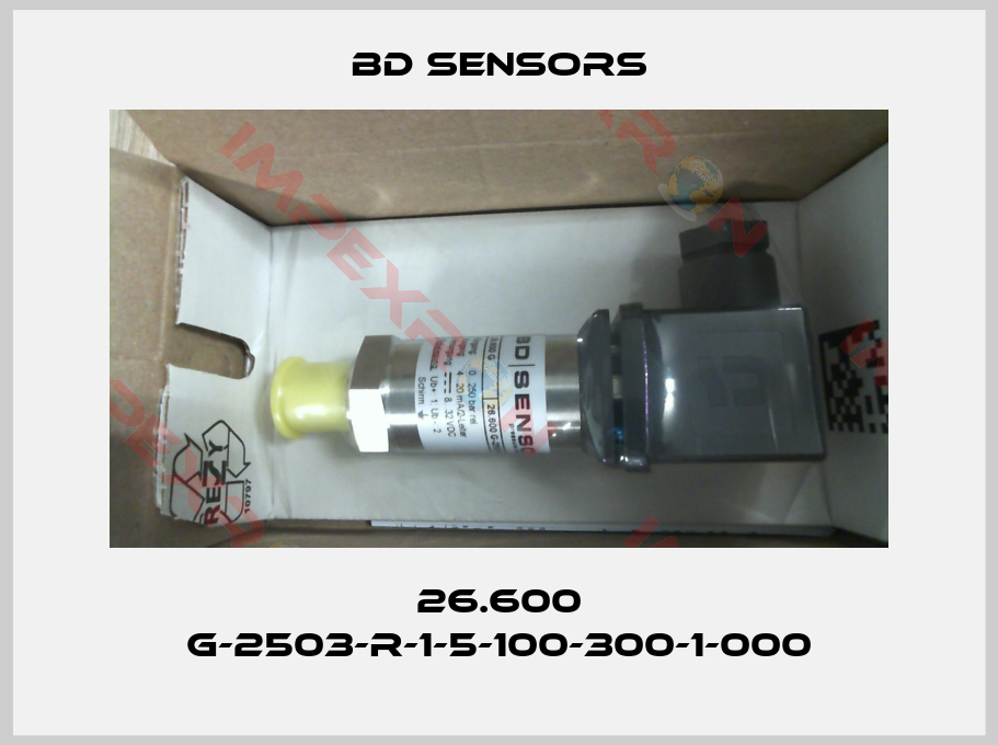Bd Sensors-26.600 G-2503-R-1-5-100-300-1-000