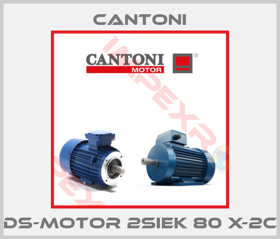 Cantoni-DS-Motor 2SIEK 80 X-2C