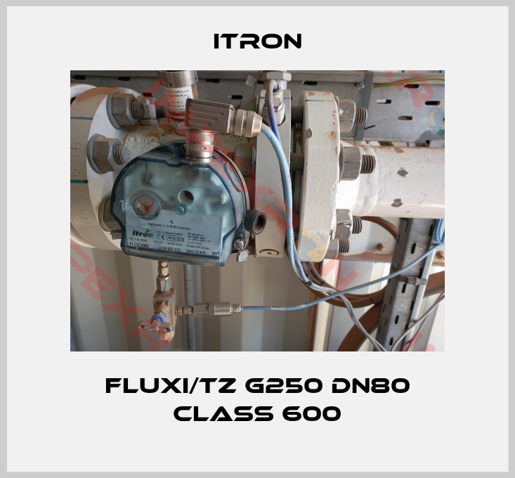Itron-Fluxi/TZ G250 DN80 Class 600