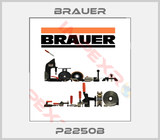 Brauer-P2250B