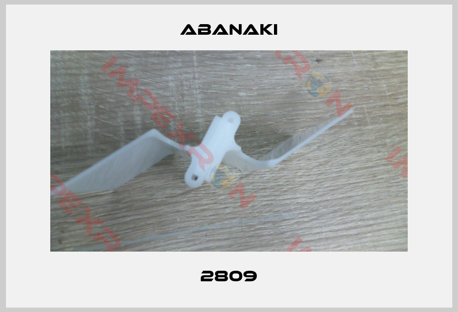 Abanaki-2809