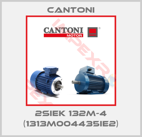 Cantoni-2SIEK 132M-4 (1313M004435IE2)