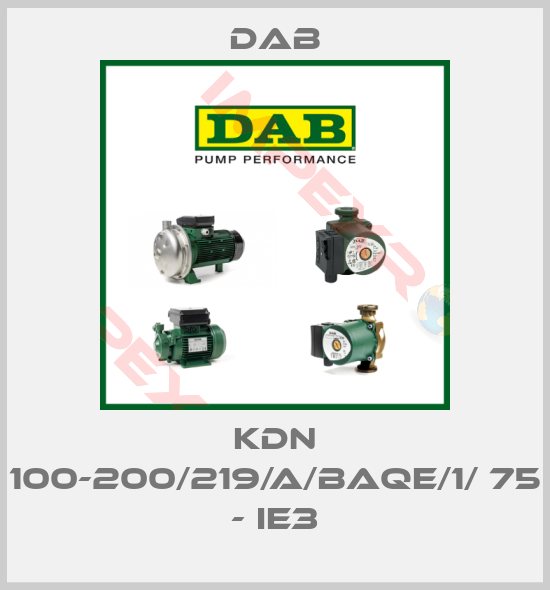 DAB-KDN 100-200/219/A/BAQE/1/ 75 - IE3