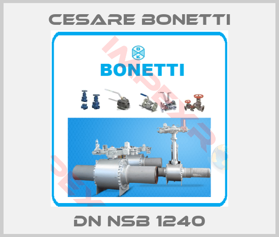 Cesare Bonetti-DN NSB 1240