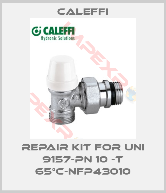 Caleffi-Repair kit for UNI 9157-PN 10 -T 65°C-NFP43010