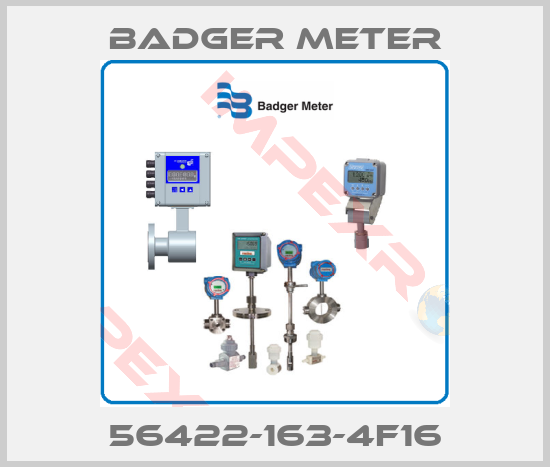 Badger Meter-56422-163-4F16