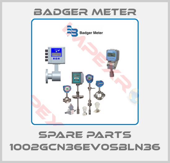 Badger Meter-Spare parts 1002GCN36EV0SBLN36