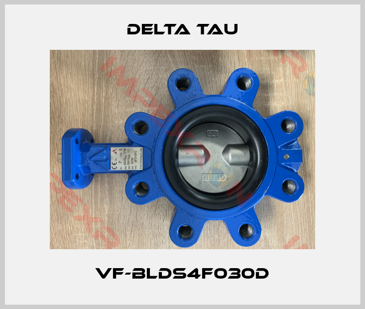 Delta Tau-VF-BLDS4F030D