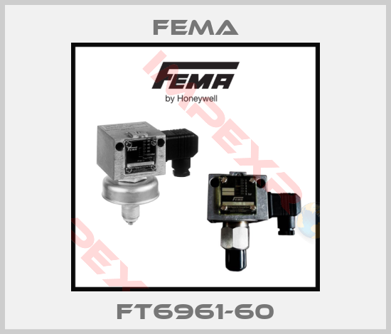 FEMA-FT6961-60